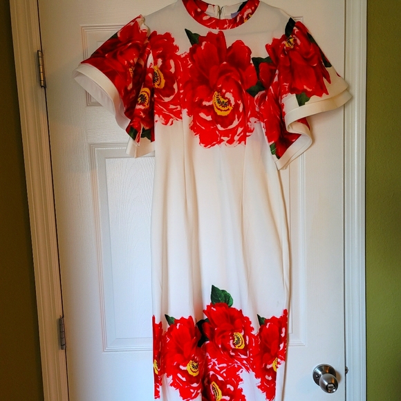 Dress - Picture 4 of 4